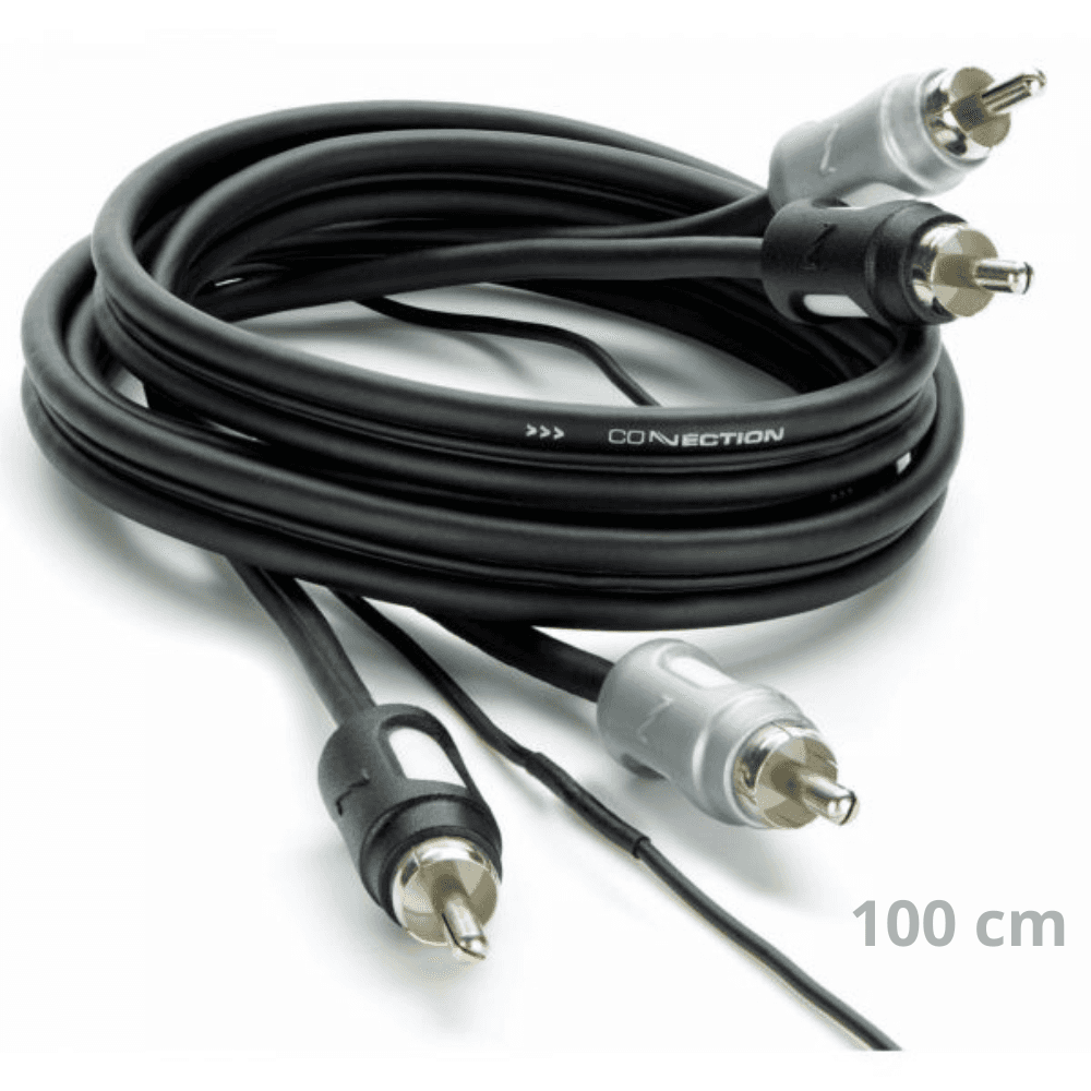 FS2 100.2